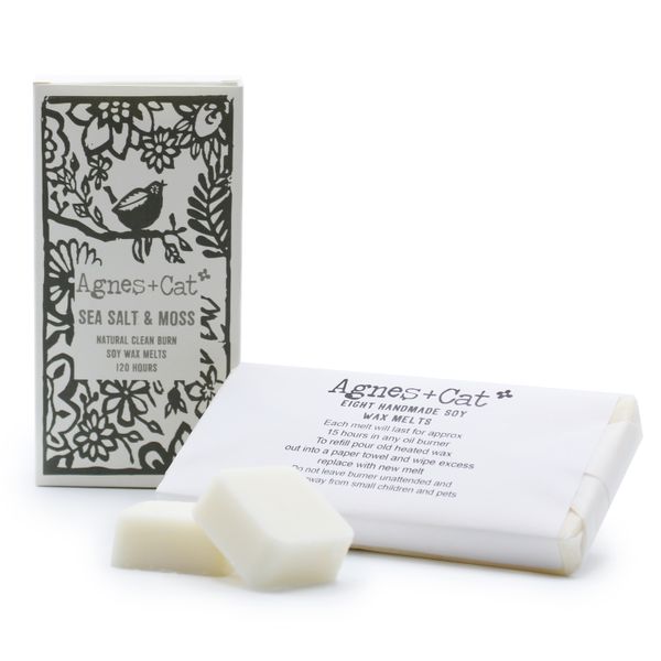 Wax Melts - Box of 8 - Sea Salt & Moss