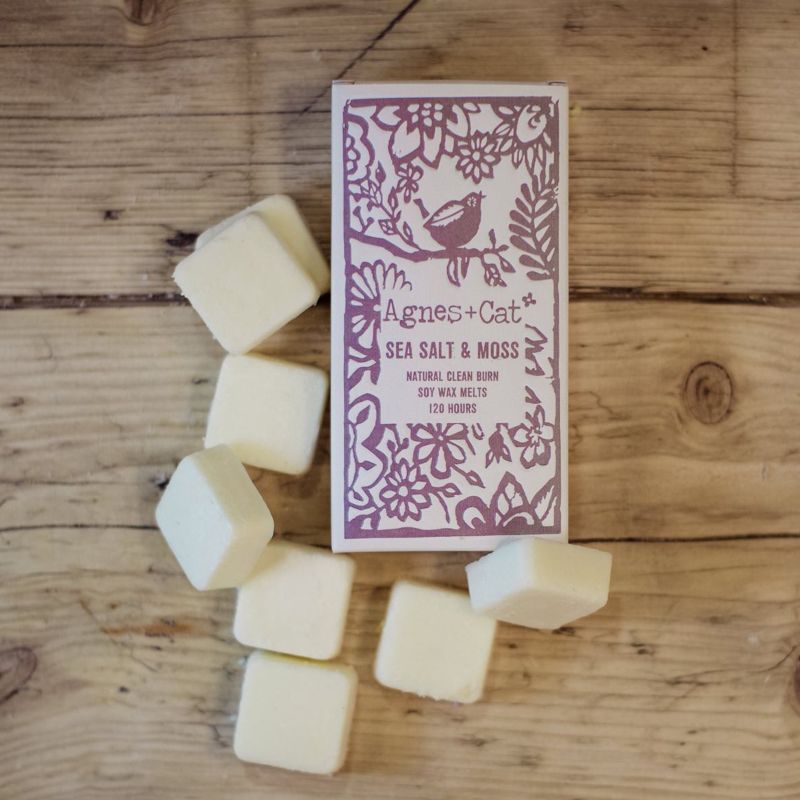 Wax Melts - Box of 8 - Sea Salt & Moss