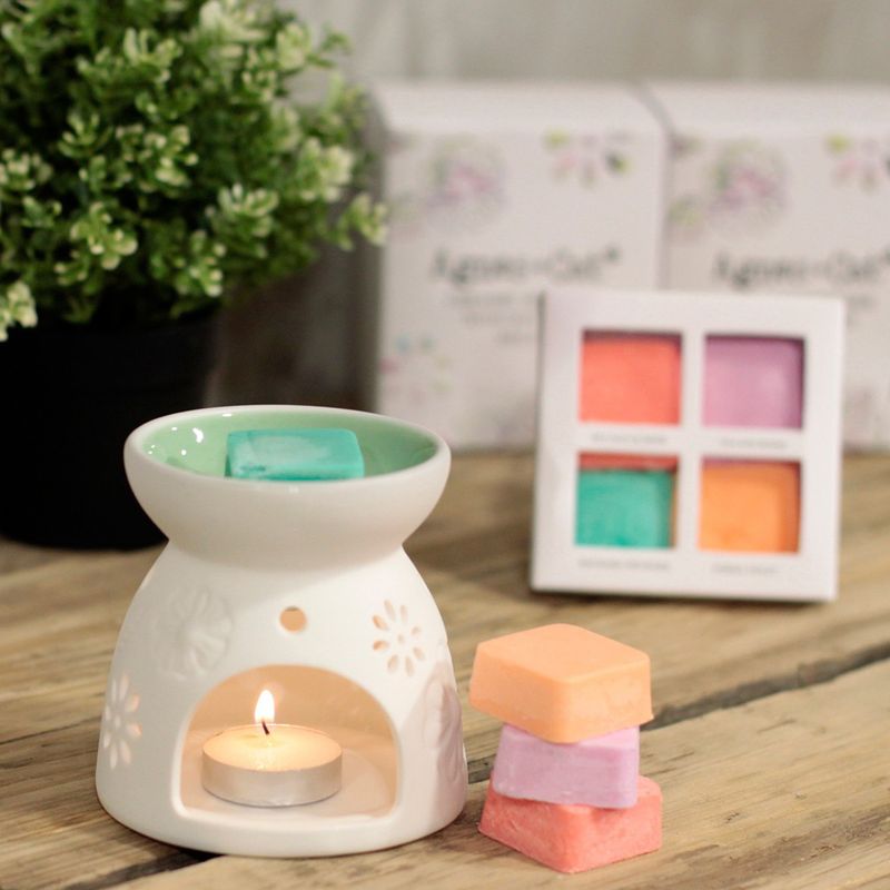 Wax Melts Starter Pack