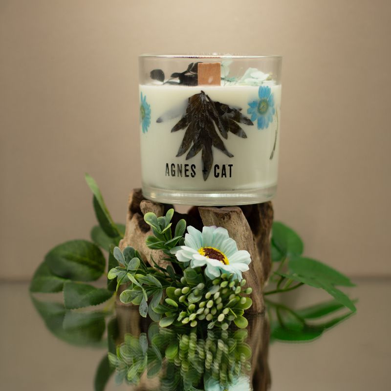 Botanical Soy Wax Candle - Seasalt & Moss