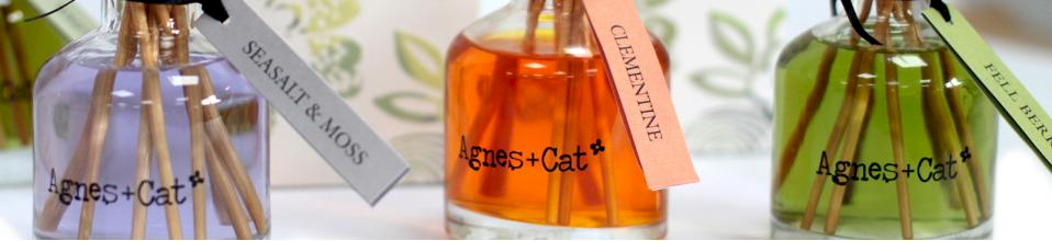 Agnes + Cat Reed Diffusers
